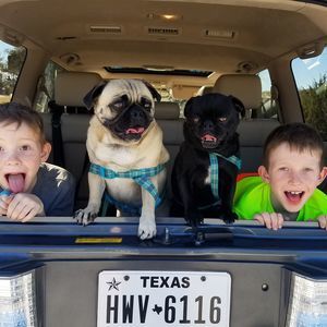 Meet your Posher, Heather